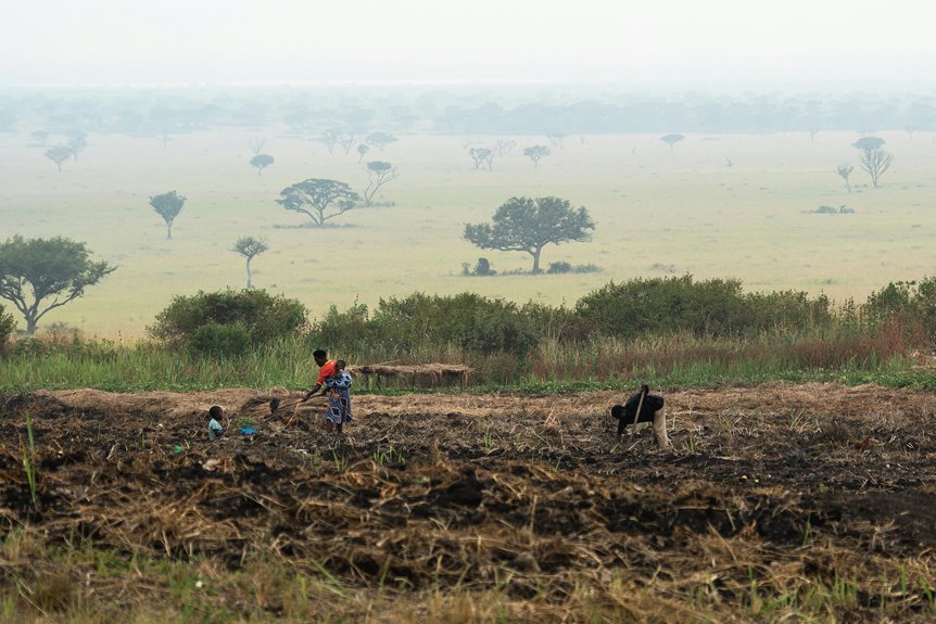 business growth data analysis